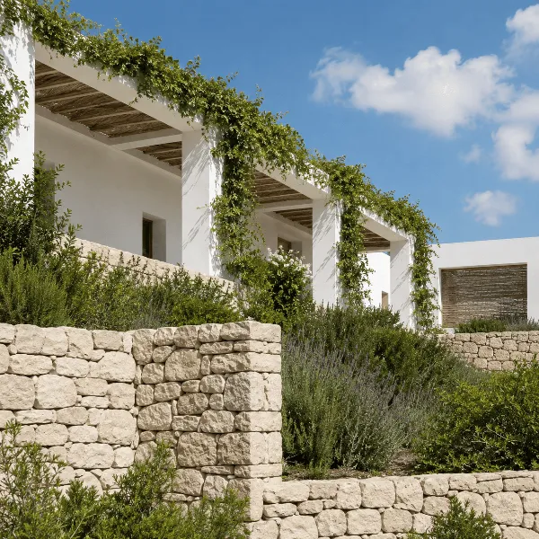 chalet con vegetación