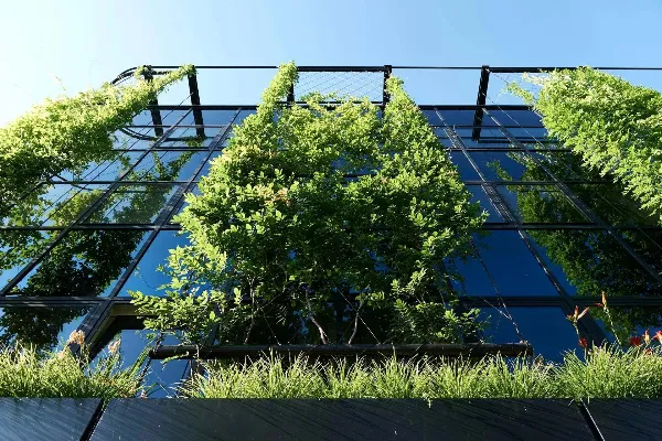 Doble piel vegetal con cámara de aire separada de la fachada