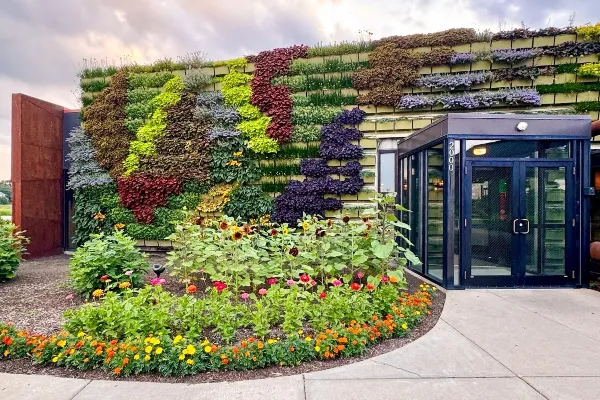 Jardín vertical modular en la fachada de una edificación urbana